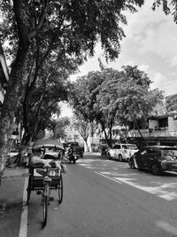 Cars on road against trees in city