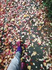 Low section of woman standing by autumn leaves