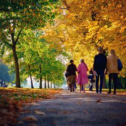 Rear view of people walking on footpath