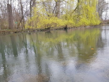 Scenic view of lake by trees