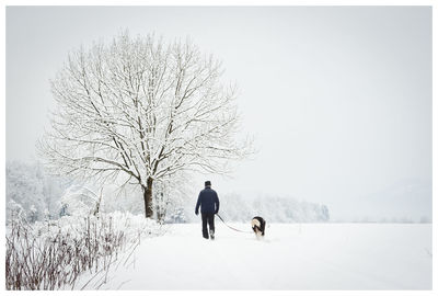 Rear view of man walking dog on snowy field