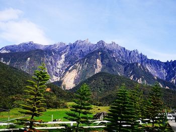 Scenic view of tree mountains against sky