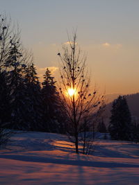 Scenic view of snow covered landscape during sunset