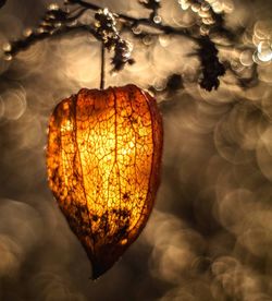 Close-up of christmas decoration hanging