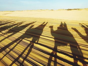 Shadow of camels on landscape against sky