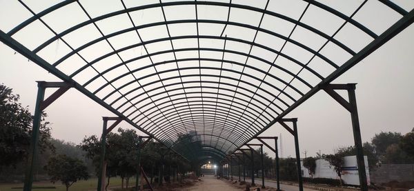 Footpath amidst trees against sky