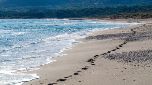 Scenic view of beach