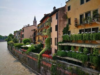 Houses riverside