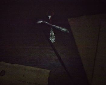 Close-up of plant against white background