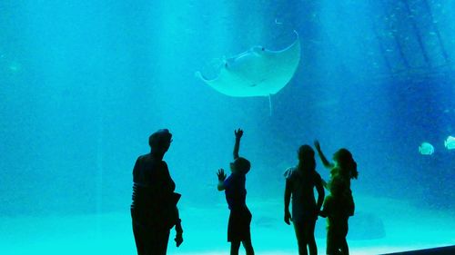 Group of people swimming in aquarium