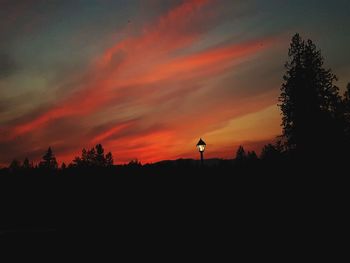 Silhouette trees against sky during sunset