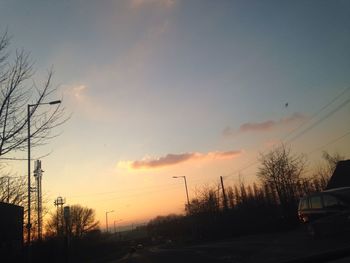 Silhouette of trees at sunset