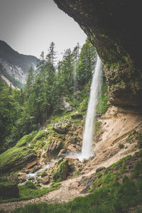 Scenic view of waterfall in forest