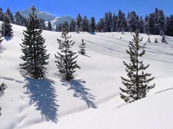 Snow covered land and trees against sky during winter