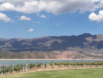 Scenic view of desert against mountains