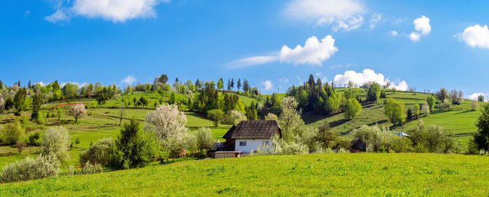 View of apuseni mountains, arieseni area, alba county, romania