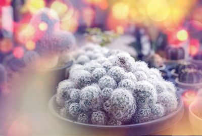 Close-up of ice cream in bowl