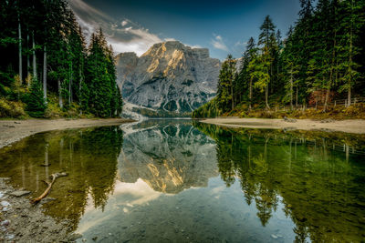 Reflection of trees in lake against sky