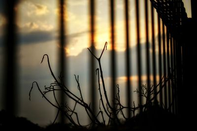 Close-up of chainlink fence