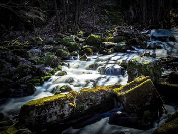 Stream flowing through rocks in forest