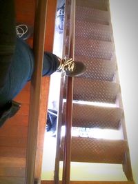 Low angle view of tree