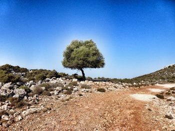 Scenic view of landscape against clear blue sky