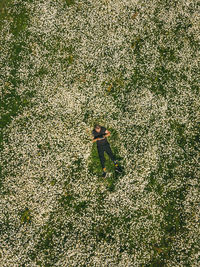 High angle view of woman standing on field