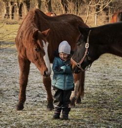 Horse standing on field