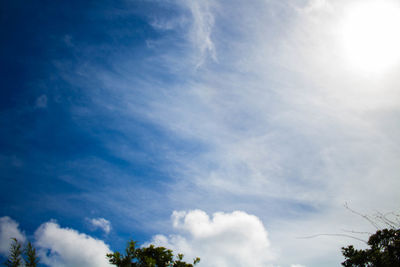 Low angle view of trees against sky