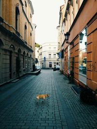 Narrow alley in city