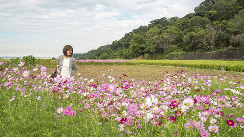 Rear view of woman standing amidst cosmos flowering plants on field