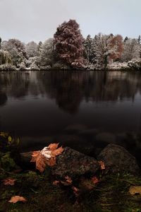 Scenic view of lake against sky