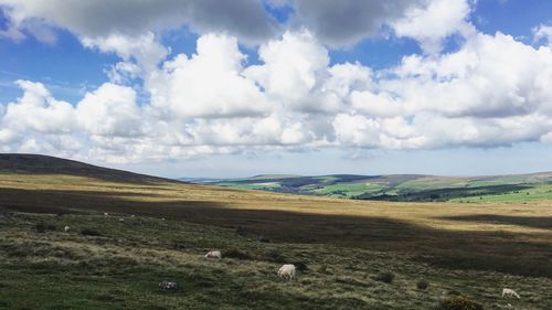 Scenic view of landscape against cloudy sky