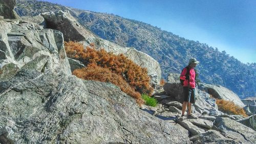 Rear view of man walking on mountain