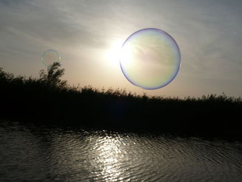 Reflection of trees in water