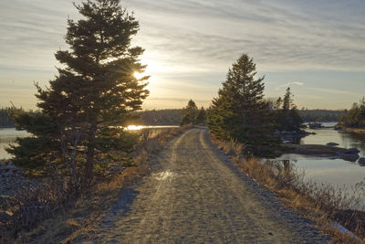 Road amidst trees against sky during sunset