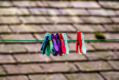 Clothesline in the yard