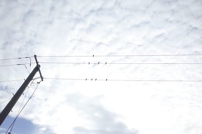 Low angle view of airplane flying against sky