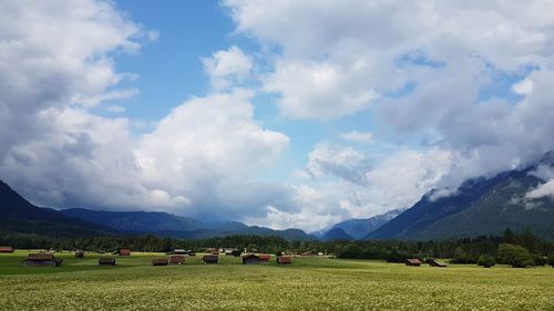 Scenic view of field against sky