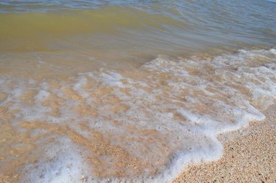 High angle view of surf on beach