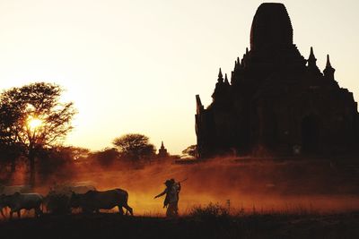 Ancient buddhist pagoda, silhouette of, by sunset with some cows passing by