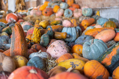 Pumpkins for sale at market stall