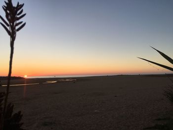 Scenic view of beach against sky during sunset