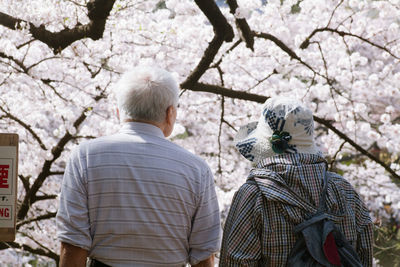 Rear view of senior man and woman against cherry blossoms