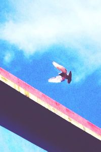 Low angle view of balloons against blue sky