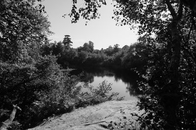 Scenic view of lake in forest against clear sky