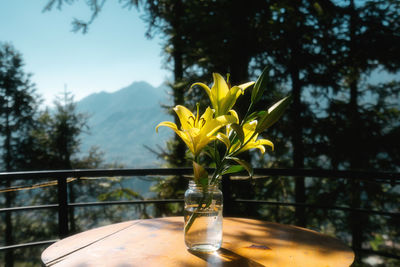 Close-up of yellow flower vase on table