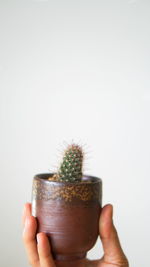 Close-up of hand holding ice cream against white background