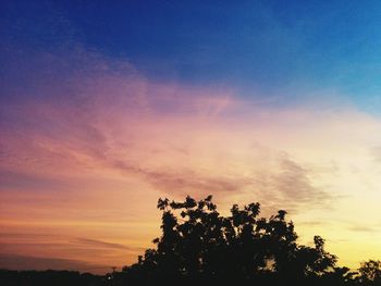 Low angle view of silhouette trees against sky at sunset