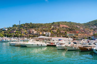 Sailboats moored in harbor